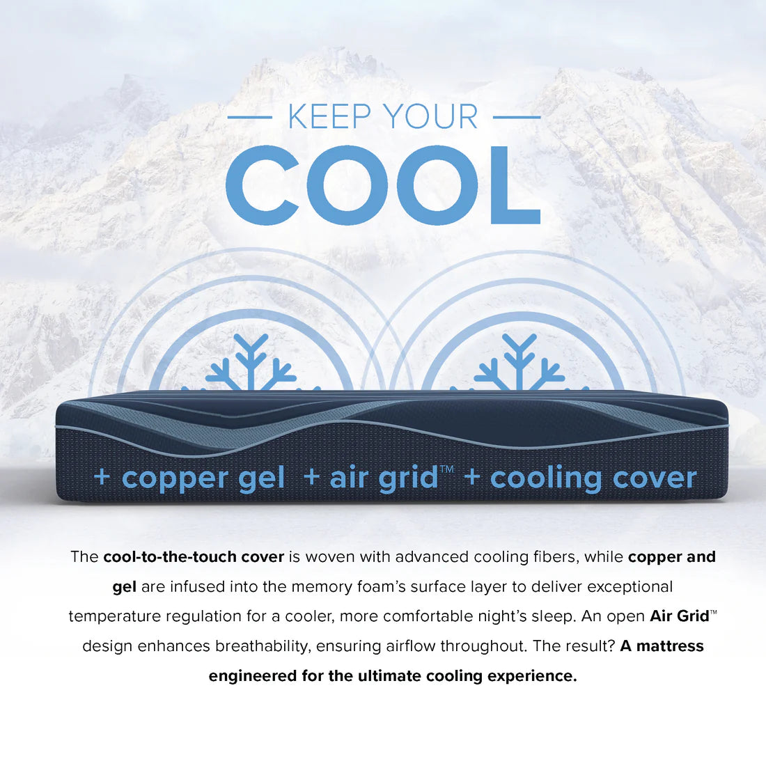 12” ActiveAlign Reactive Copper Zoned Medium
