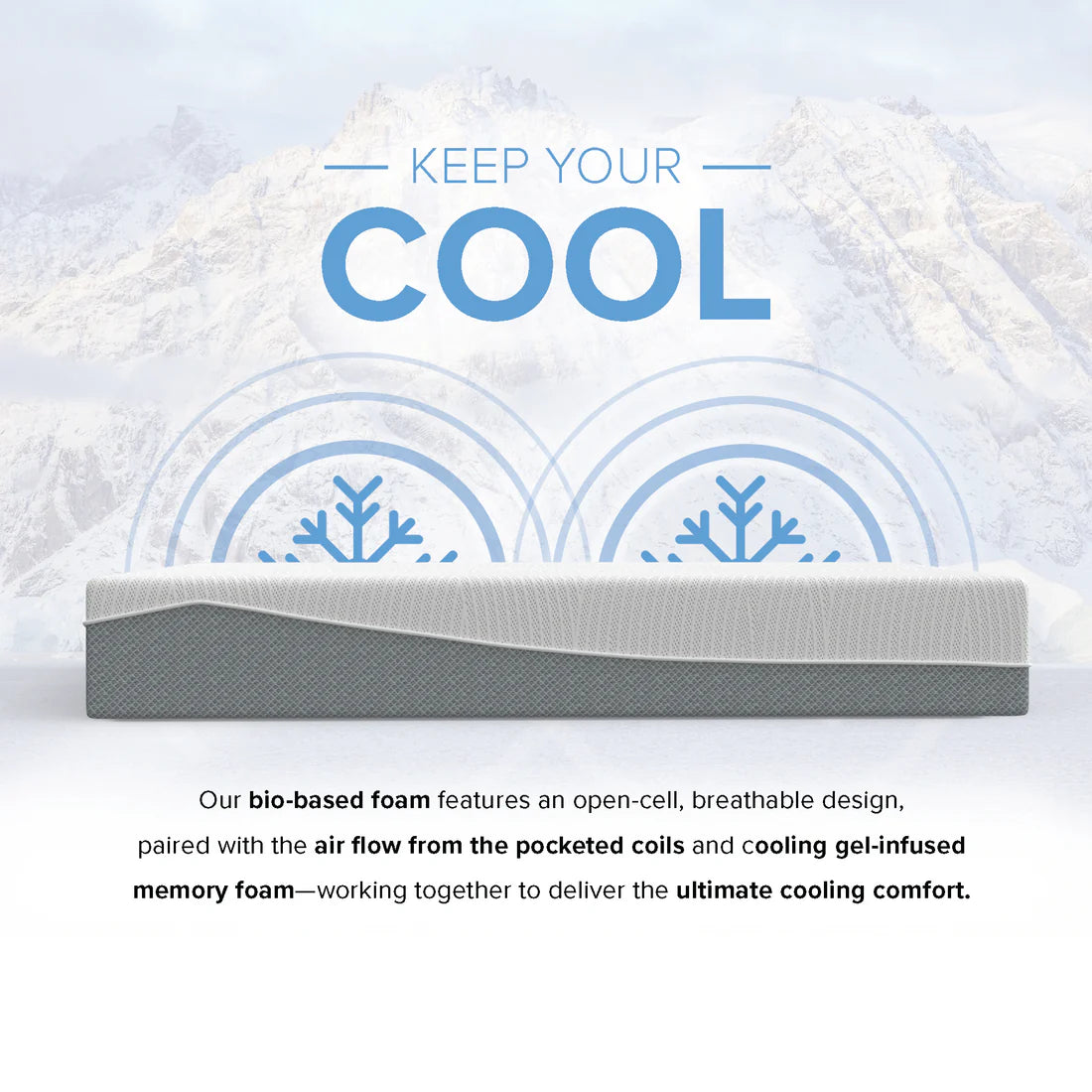 12” EcoCore Hybrid Deluxe - Medium Plush